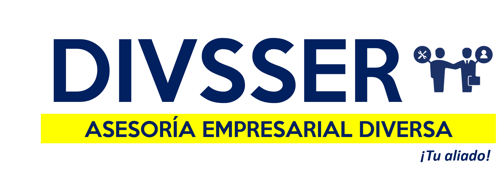 DIVSSER